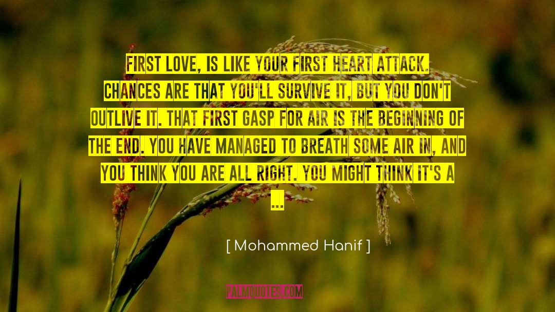Love Is In The Air Spells quotes by Mohammed Hanif