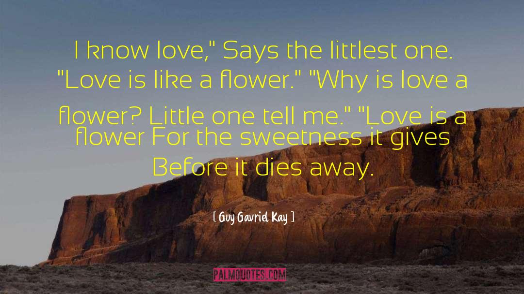 Love Is Like quotes by Guy Gavriel Kay
