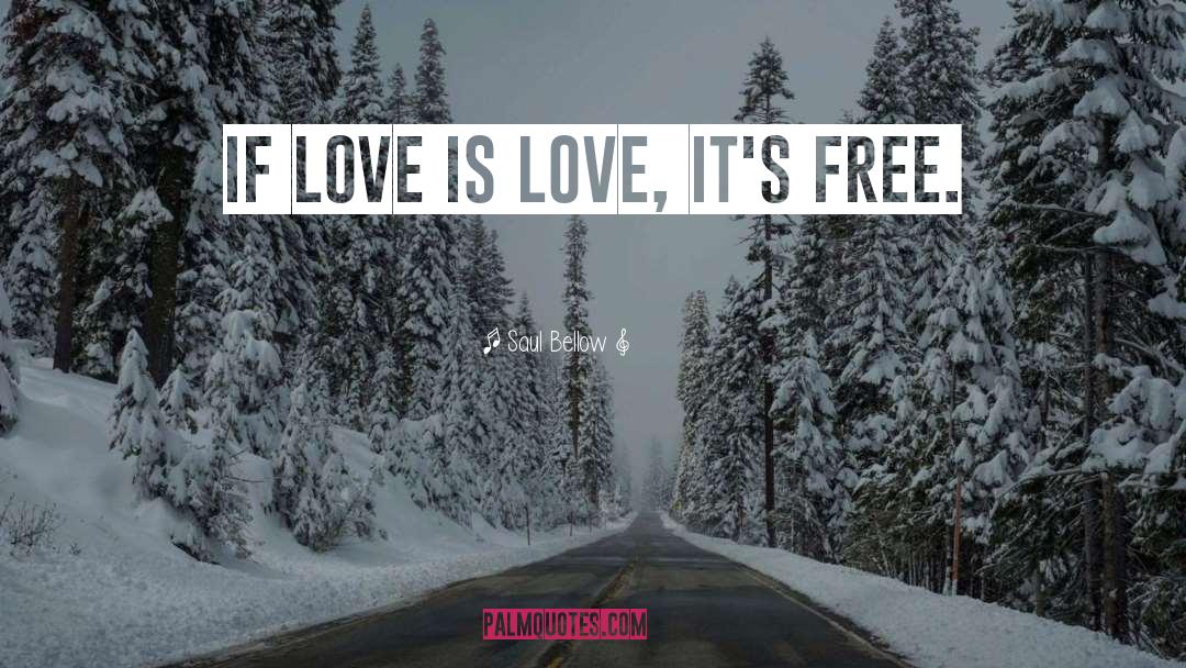 Love Is Love quotes by Saul Bellow