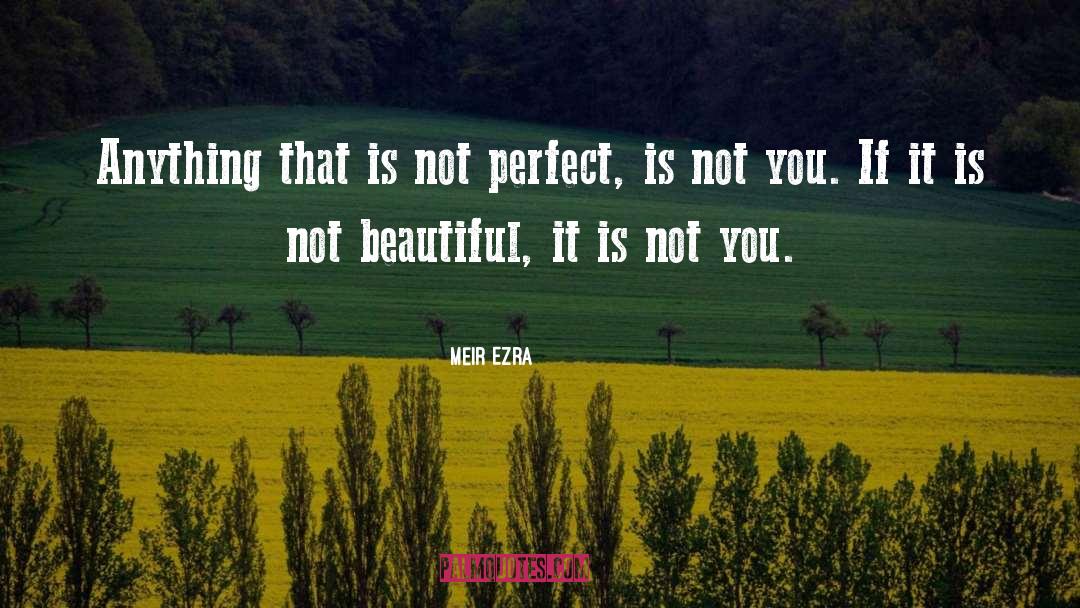 Love Is Not Perfect quotes by Meir Ezra