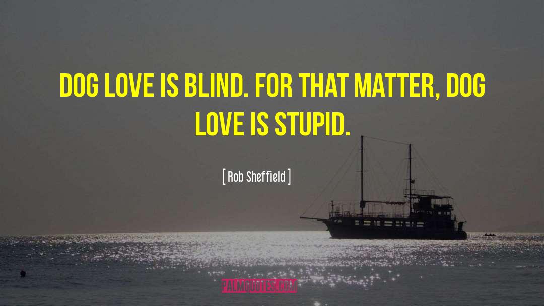 Love Is Stupid quotes by Rob Sheffield