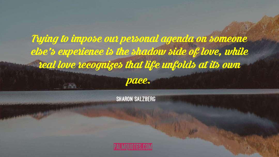 Love It When A Plan Comes Together Quote quotes by Sharon Salzberg
