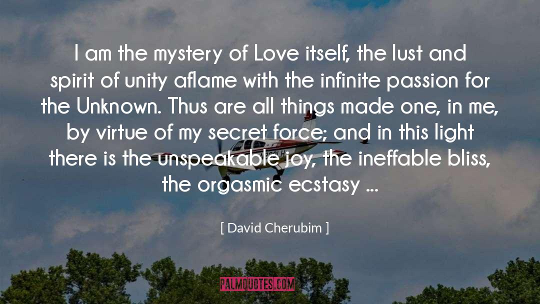 Love Itself quotes by David Cherubim