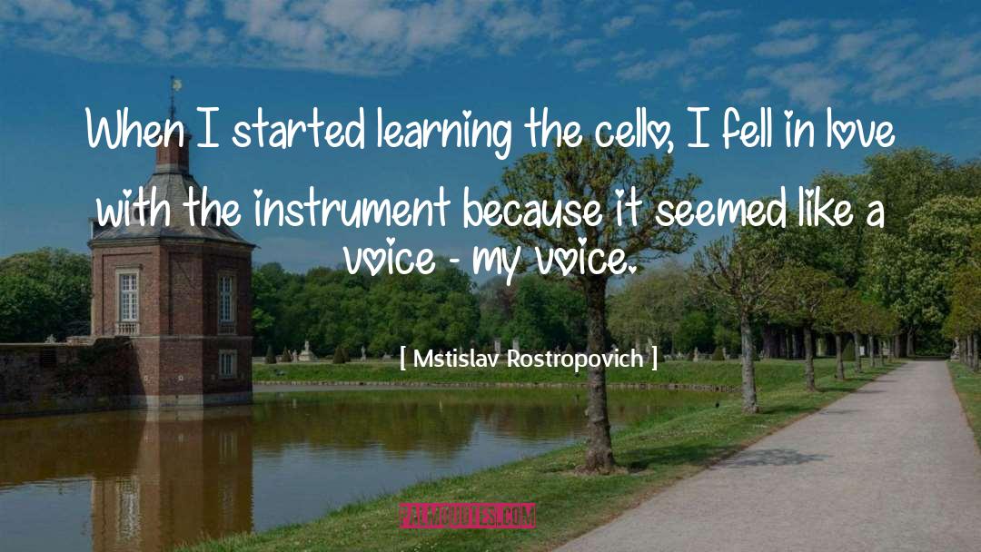 Love Learning quotes by Mstislav Rostropovich