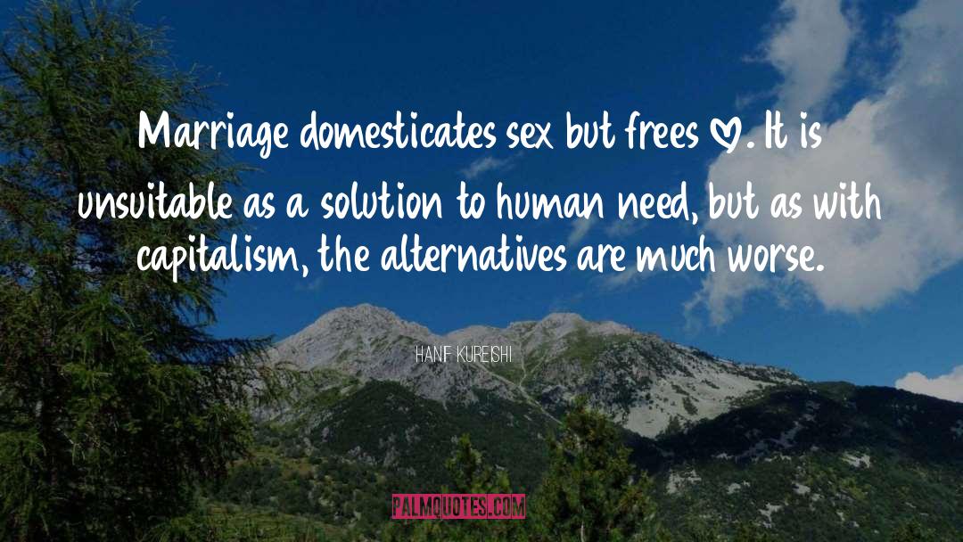 Love Marriage Sex Romance quotes by Hanif Kureishi