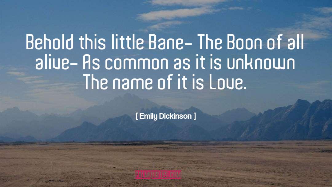 Love Names quotes by Emily Dickinson