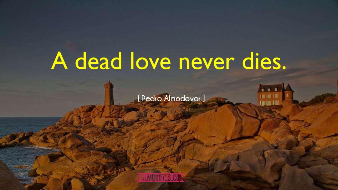 Love Never Dies quotes by Pedro Almodovar