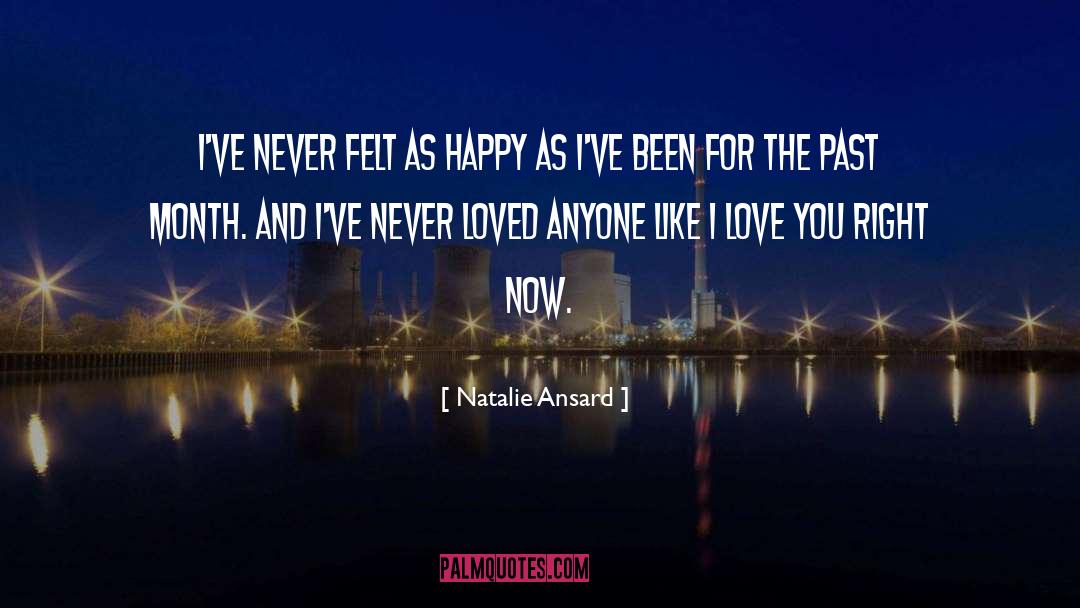 Love Novel quotes by Natalie Ansard