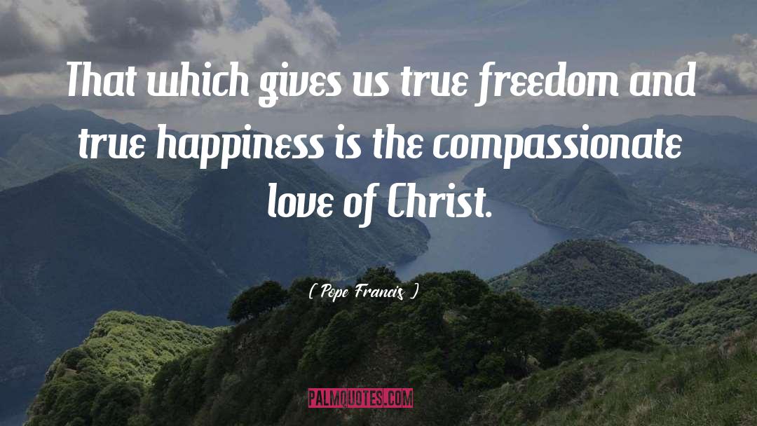 Love Of Christ quotes by Pope Francis