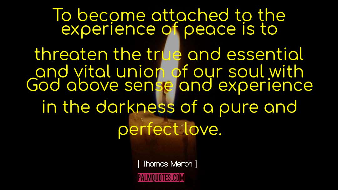 Love Of Literature quotes by Thomas Merton