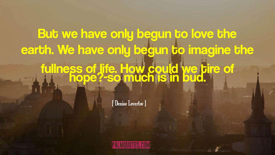 Love Of Place quotes by Denise Levertov