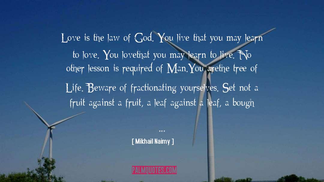 Love Of Self quotes by Mikhail Naimy