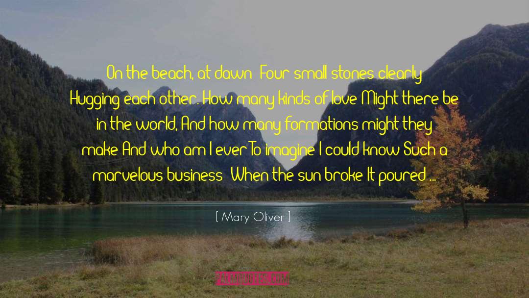 Love On Beach quotes by Mary Oliver