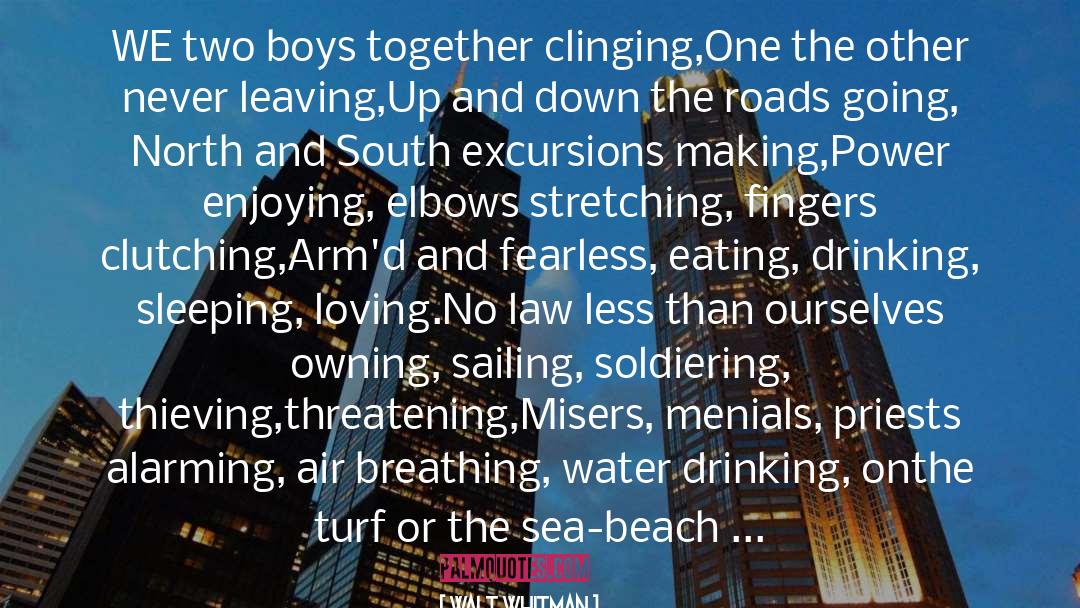 Love On Beach quotes by Walt Whitman
