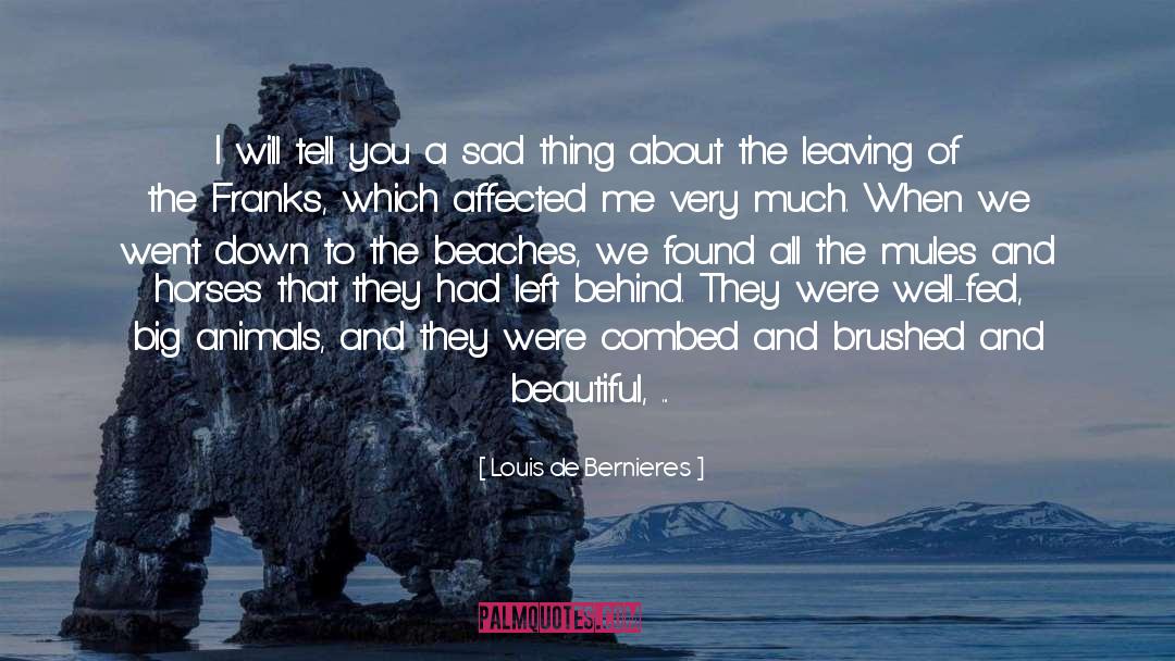 Love On Beach quotes by Louis De Bernieres