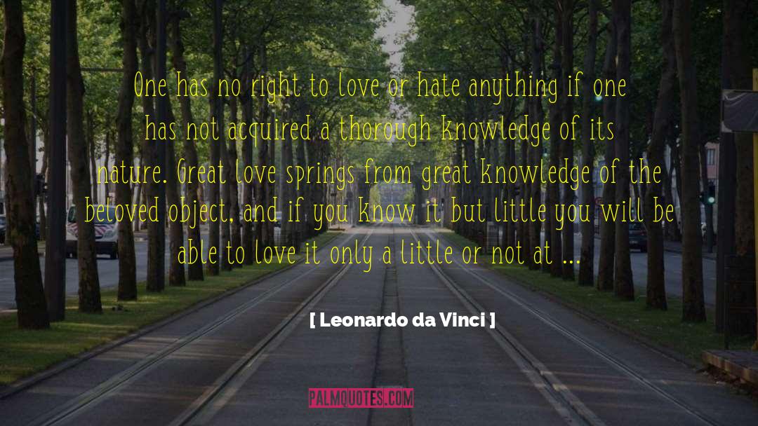 Love Or Hate quotes by Leonardo Da Vinci