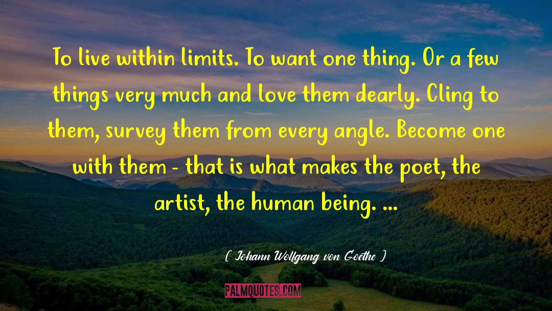 Love Or Hate quotes by Johann Wolfgang Von Goethe