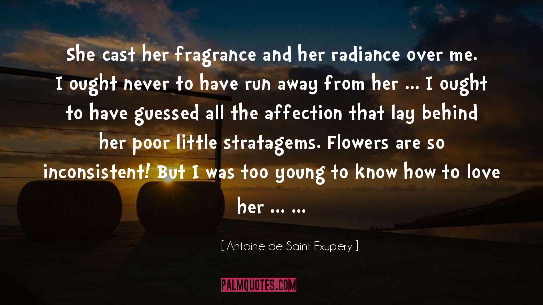 Love Over Gold quotes by Antoine De Saint Exupery