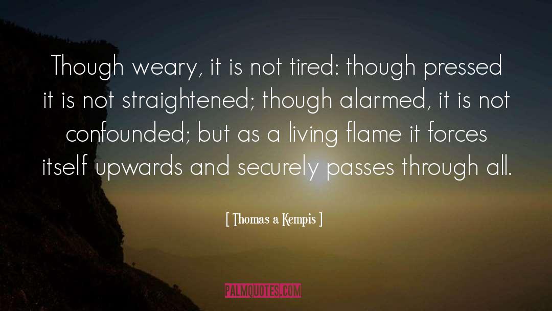 Love Passes quotes by Thomas A Kempis