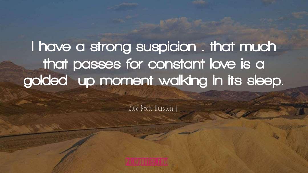 Love Passes quotes by Zora Neale Hurston