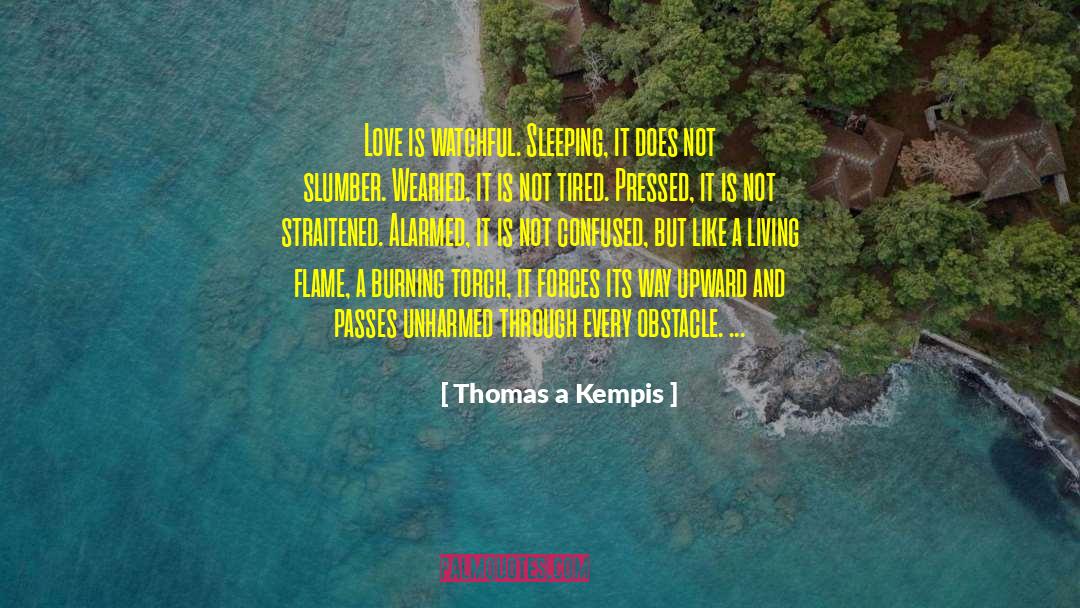 Love Passes quotes by Thomas A Kempis