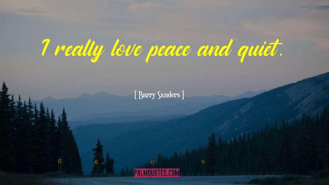 Love Peace quotes by Barry Sanders