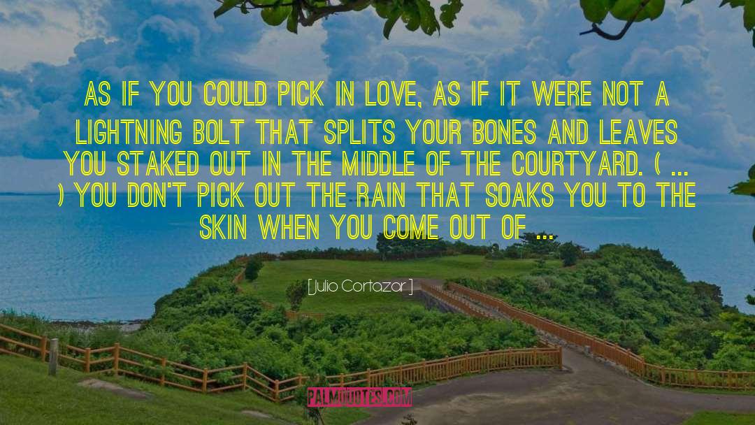 Love Rain quotes by Julio Cortazar