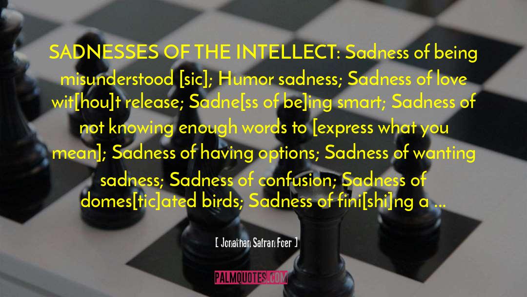 Love Sadness quotes by Jonathan Safran Foer