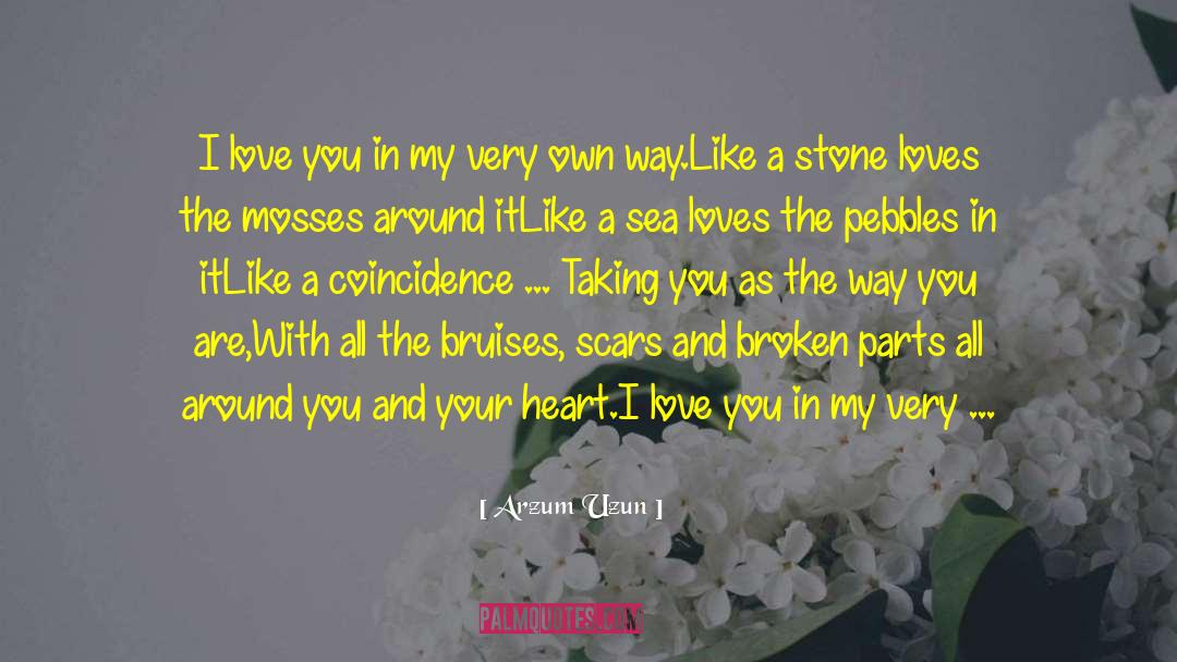 Love Sadness Sea Swim Lover quotes by Arzum Uzun