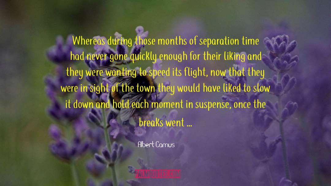 Love Separation quotes by Albert Camus