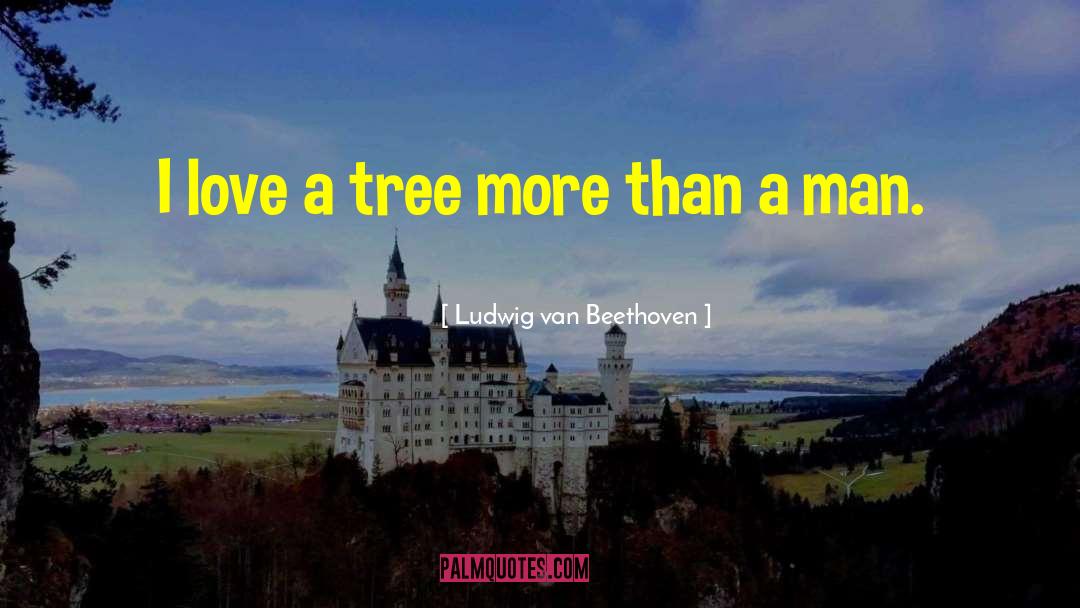 Love Slowly quotes by Ludwig Van Beethoven