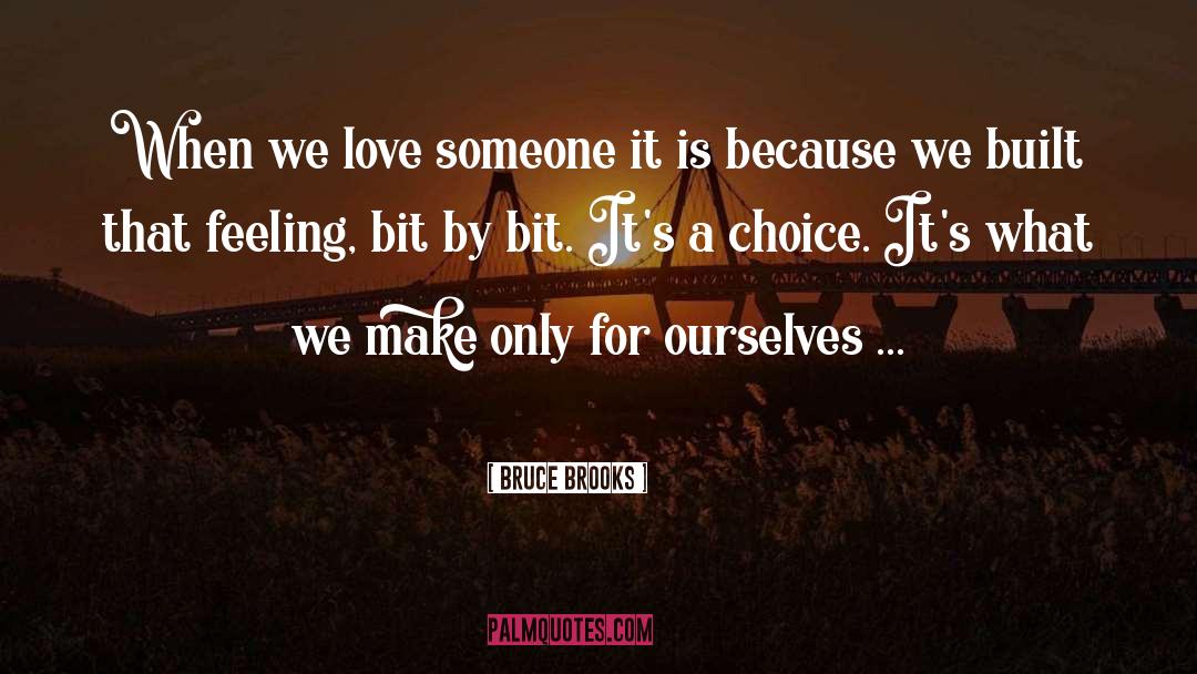 Love Someone quotes by Bruce Brooks