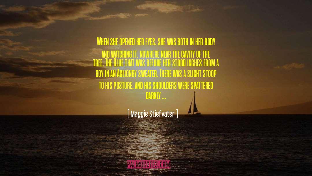 Love Tears Happiness quotes by Maggie Stiefvater