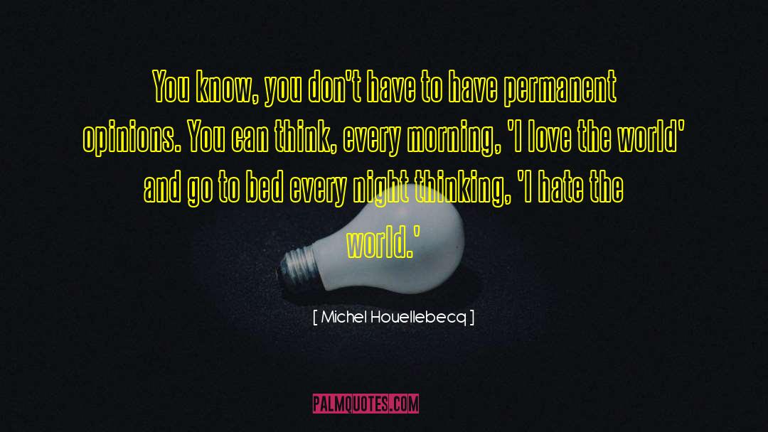Love The World quotes by Michel Houellebecq