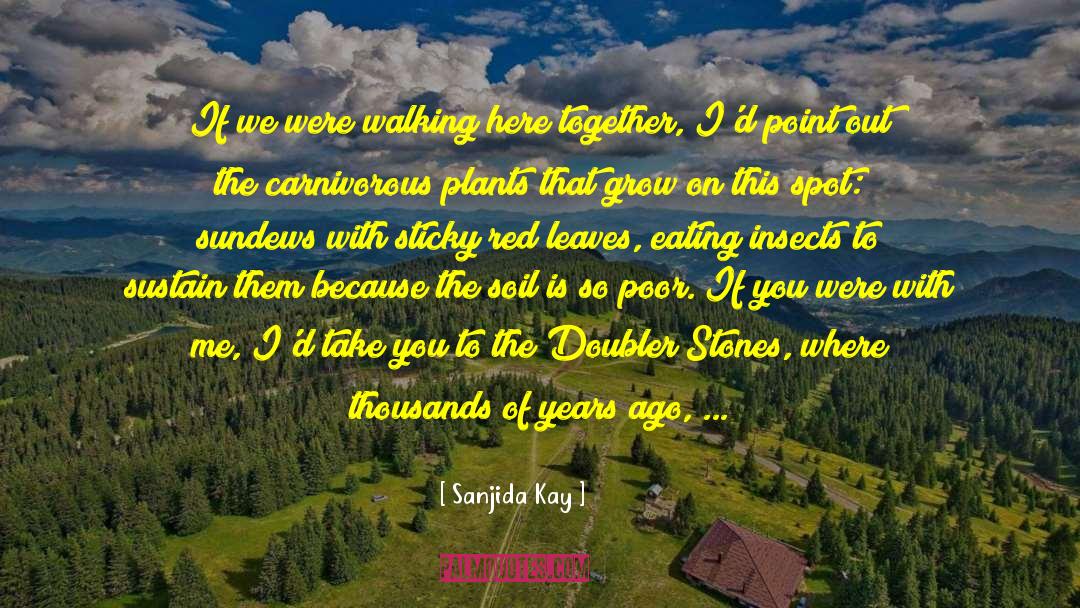 Love This quotes by Sanjida Kay