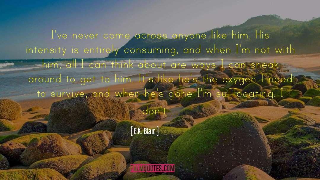 Love To Anyone quotes by E.K. Blair