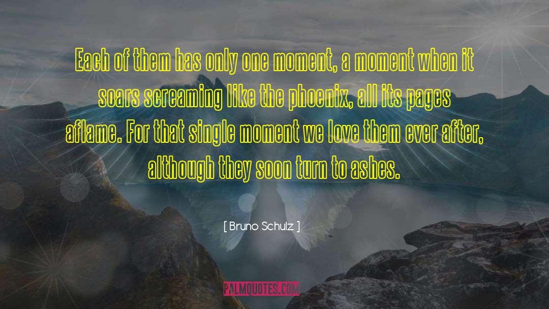 Love To Shine quotes by Bruno Schulz