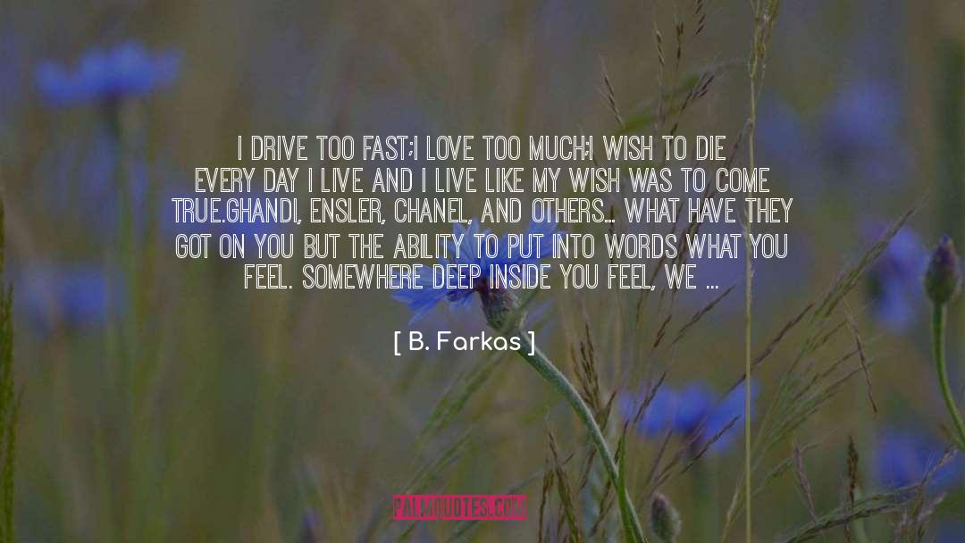 Love Too Much quotes by B. Farkas