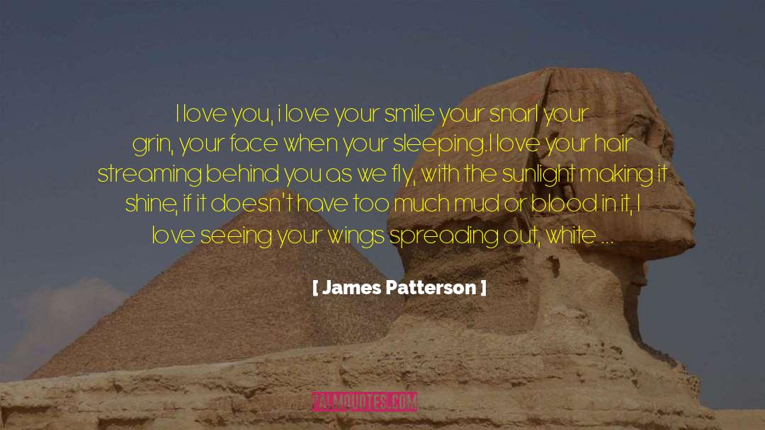 Love Top 100 quotes by James Patterson