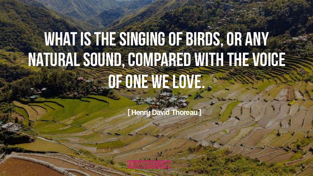 Love Voice quotes by Henry David Thoreau