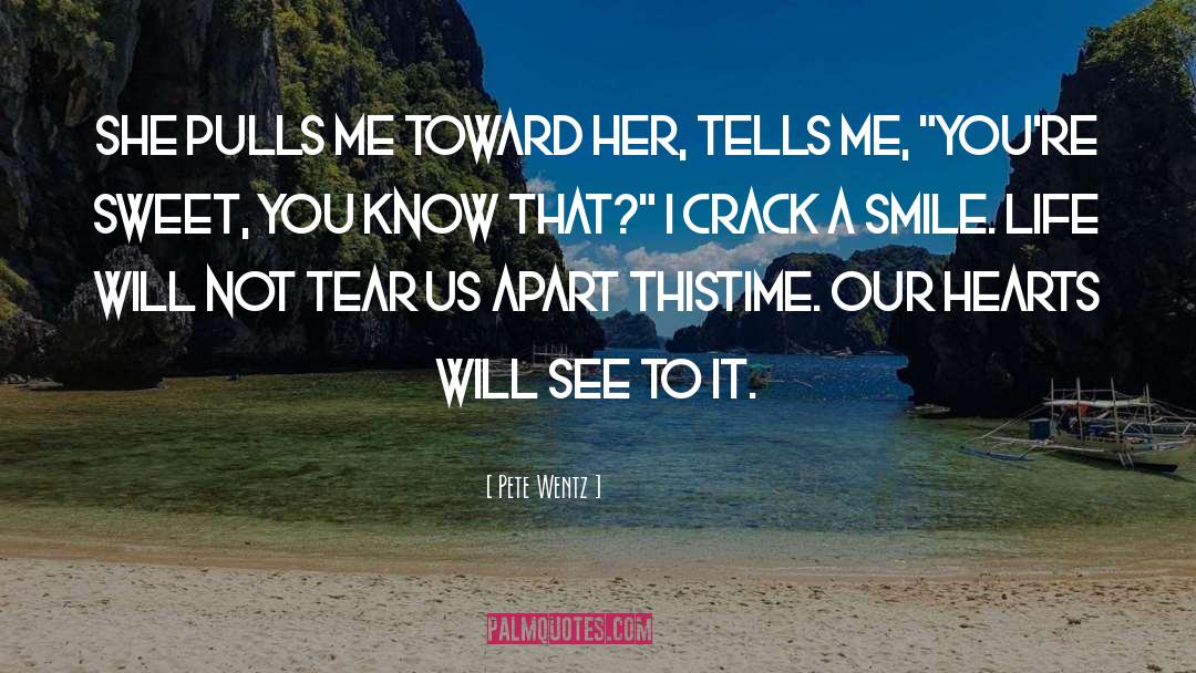 Love Will Tear Us Apart quotes by Pete Wentz