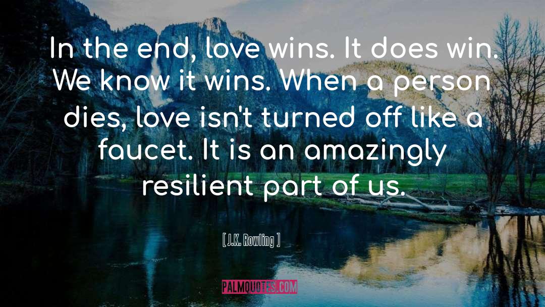 Love Wins quotes by J.K. Rowling