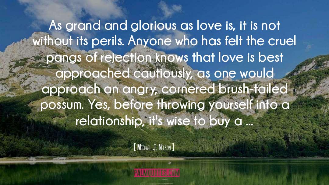 Love Without Communication quotes by Michael J. Nelson