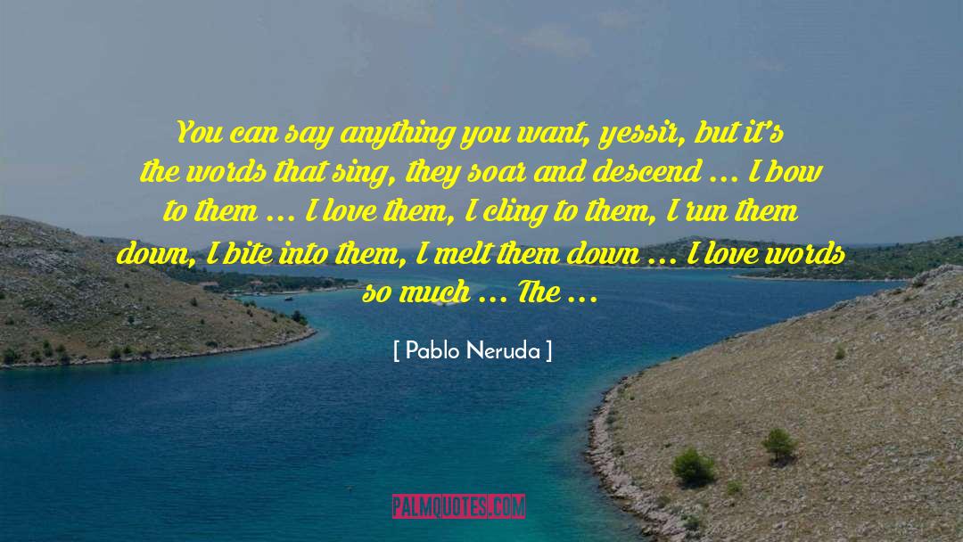 Love Words quotes by Pablo Neruda