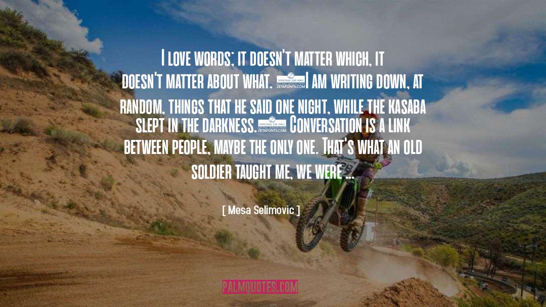 Love Words quotes by Mesa Selimovic