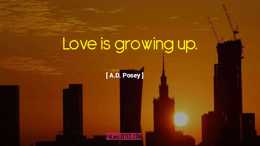 Love Worth quotes by A.D. Posey
