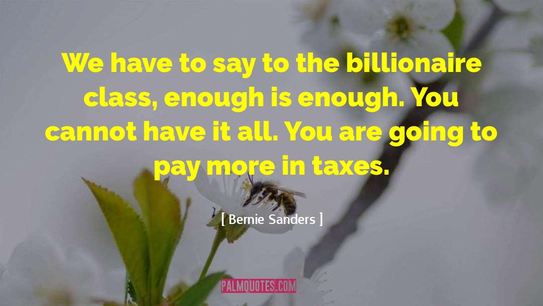Love You Cannot Have quotes by Bernie Sanders