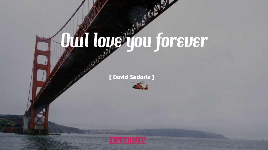 Love You Forever quotes by David Sedaris