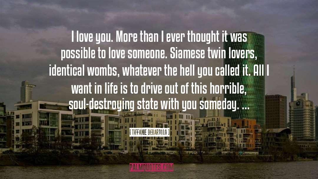 Love You More quotes by Tiffanie DeBartolo