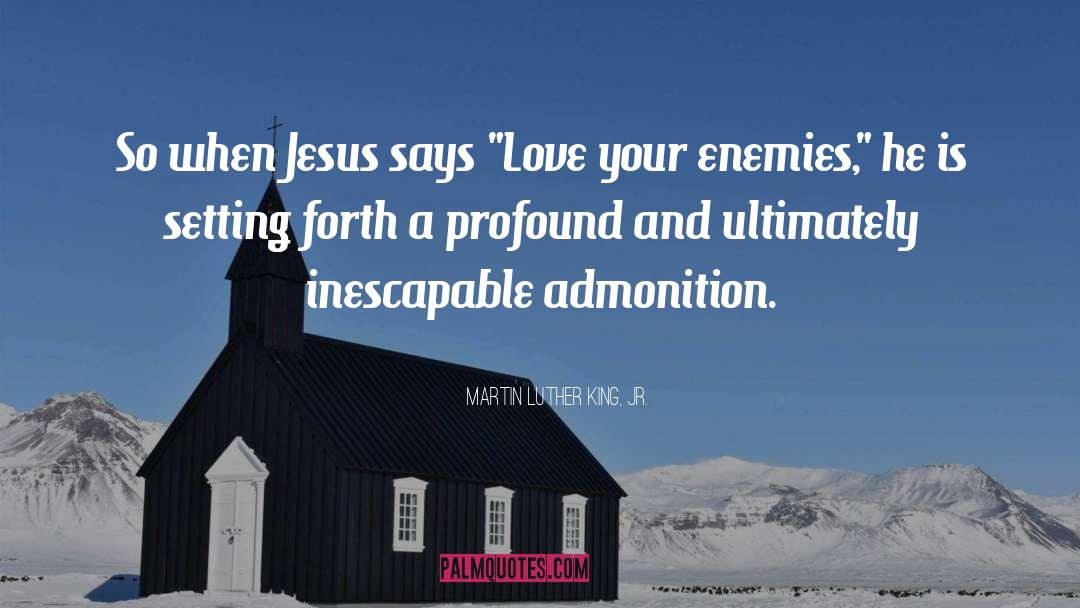 Love Your Enemies quotes by Martin Luther King, Jr.